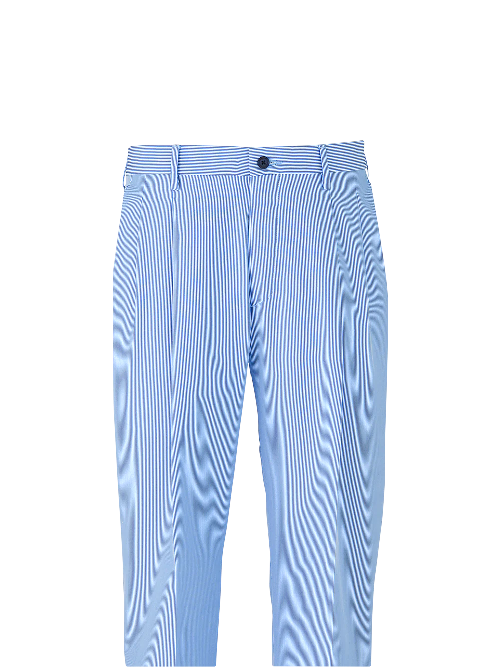 Pinstripe Pleated Pants - Blue Stripe